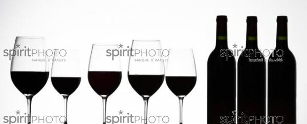 Dgustation Vin rouge (JBN_03159.jpg)