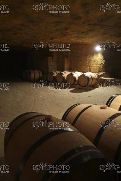 Cave à vin souterraine (JBN_03687.jpg)