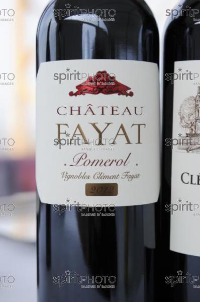 Château La Doninique - Vignoble Fayat (JBN_03918.jpg)