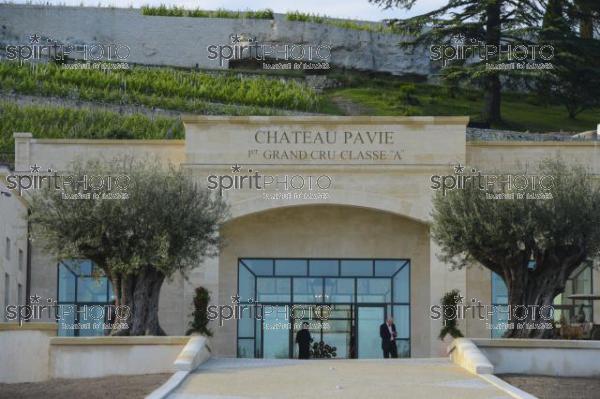 CHTEAU PAVIE (JBN_04268.jpg)