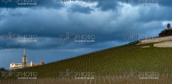  (JBN_0695-Modifier.jpg)