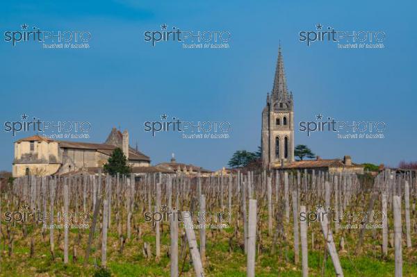 GIRONDE (33), SAINT-EMILION, PAYSAGE VITICOLE DE SAINT-EMILION, LE CLOCHER ET L'EGLISE COLLEGIALE, VIGNOBLE DU BORDELAIS // FRANCE, GIRONDE (33), SAINT-EMILION, SAINT-EMILION WINE LANDSCAPE, THE TOWER AND THE COLLEGIAL CHURCH, BORDEAUX VINEYARD (JBN_0945.jpg)