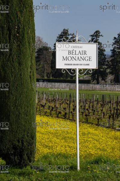 GIRONDE (33), SAINT-EMILION, PANNEAU SUR UNE PARCELLE VITICOLE DU CHATEAU BELAIRE MONANGE AU PRINTEMPS, PAYSAGE VITICOLE, VIGNOBLE DU BORDELAIS // FRANCE, GIRONDE (33), SAINT-EMILION, SIGN ON A WINE PLOT OF CHATEAU BELAIRE MONANGE IN SPRING, WINE LANDSCAPE, BORDEAUX VINEYARD (JBN_0967.jpg)