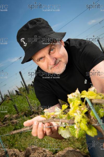 France, Gironde, Saint-Pierre-de-Mons, Jean-Baptiste Duquesne, propriétaire du Chateau Cazebonne, Vins en Biodynamie à partir de cépages oubliés, Collectif Bordeaux Pirate, Vignoble Bordelais (JBN_1106.jpg)