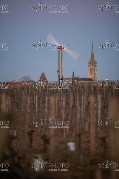 GIRONDE, POMEROL, WIND TURBINES ARE USED AS AIR STIRRERS IN VINEYARD DURING SUB-ZERO TEMPERATURES OF MARS 2021, BORDEAUX VINEYARD (JBN_2067.jpg)