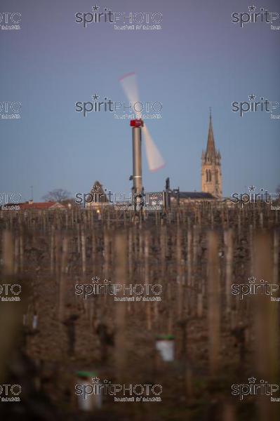 GIRONDE, POMEROL, WIND TURBINES ARE USED AS AIR STIRRERS IN VINEYARD DURING SUB-ZERO TEMPERATURES OF MARS 2021, BORDEAUX VINEYARD (JBN_2070.jpg)