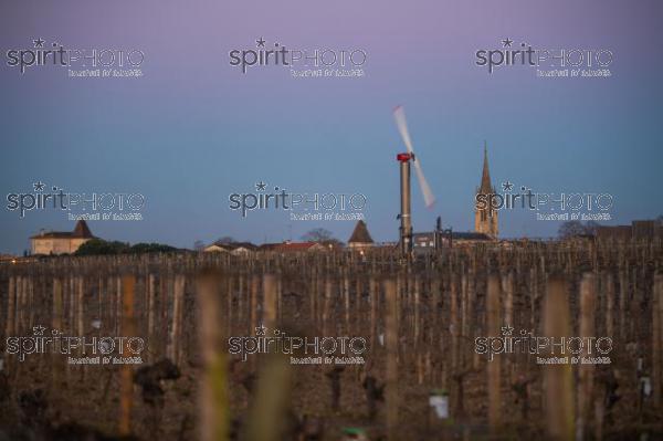 GIRONDE, POMEROL, WIND TURBINES ARE USED AS AIR STIRRERS IN VINEYARD DURING SUB-ZERO TEMPERATURES OF MARS 2021, BORDEAUX VINEYARD (JBN_2077.jpg)