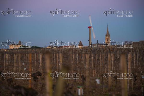 GIRONDE, POMEROL, WIND TURBINES ARE USED AS AIR STIRRERS IN VINEYARD DURING SUB-ZERO TEMPERATURES OF MARS 2021, BORDEAUX VINEYARD (JBN_2081.jpg)