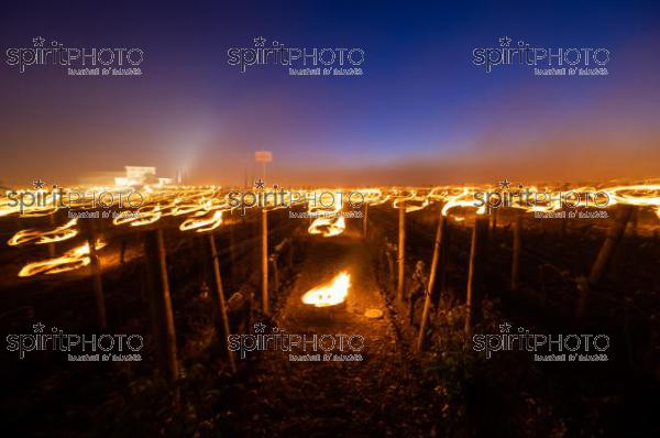 Candles burning in vineyard during sub-zero temperatures of 7 April 2021. Pomerol. Gironde, France. [Pomerol / Bordeaux] (JBN_2432.jpg)