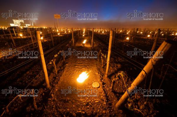Candles burning in vineyard during sub-zero temperatures of 7 April 2021. Pomerol. Gironde, France. [Pomerol / Bordeaux] (JBN_2435.jpg)