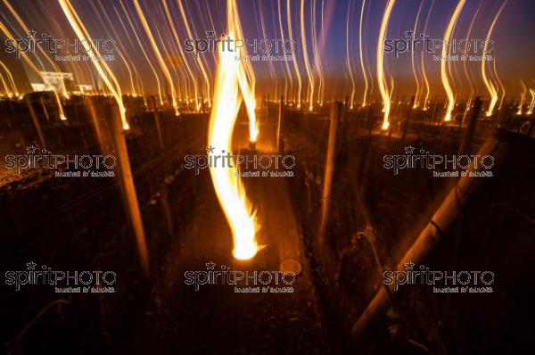Candles burning in vineyard during sub-zero temperatures of 7 April 2021. Pomerol. Gironde, France. [Pomerol / Bordeaux] (JBN_2439.jpg)