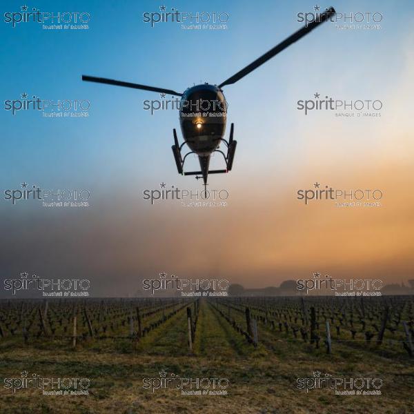 Helicopter being used to circulate warmer air and prevent frost damage to vineyard in sub-zero spring temperatures of 7 April 2021. Château Laroze, St-Émilion, Gironde, France. [Saint-Émilion / Bordeaux] (JBN_2473.jpg)