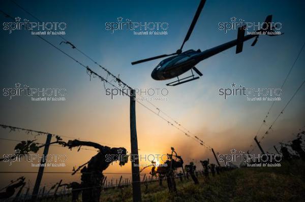 Helicopter being used to circulate warmer air and prevent frost damage to vineyard in sub-zero spring temperatures of 7 April 2021. Château Laroze, St-Émilion, Gironde, France. [Saint-Émilion / Bordeaux] (JBN_2487.jpg)