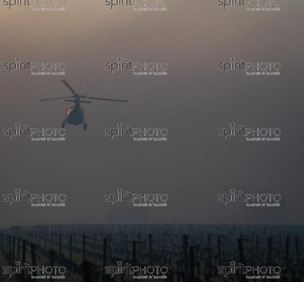 Helicopter being used to circulate warmer air and prevent frost damage to vineyard in sub-zero spring temperatures of 7 April 2021. Château Laroze, St-Émilion, Gironde, France. [Saint-Émilion / Bordeaux] (JBN_3618.jpg)