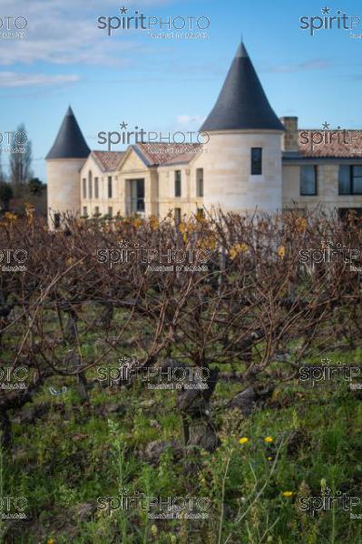 GIRONDE (33), SAINT-ESTEPHE, PORTRAIT DE PASCAL FRICARD CHÂTEAU TOUR SAINT FORT, AOC MEDOC, SAINT-ESTEPHE, VIGNOBLE BORDELAIS // FRANCE, GIRONDE (33), SAINT-ESTEPHE, PORTRAIT OF PASCAL FRICARD CHÂTEAU TOUR SAINT FORT, AOC MEDOC, SAINT-ESTEPHE, BORDEAUX VINEYARD (JBN_4559.jpg)