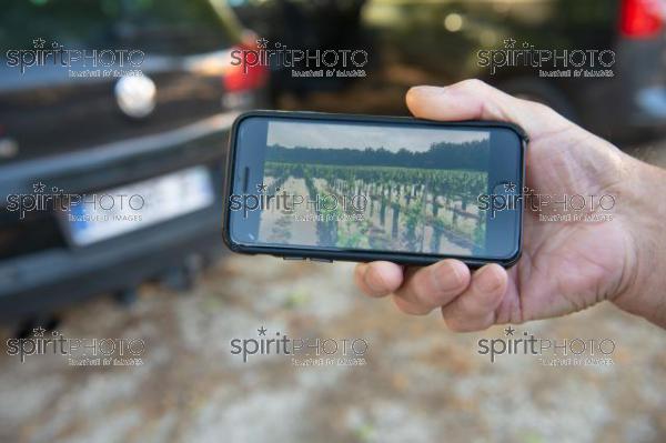 (JBN_6102.jpg)