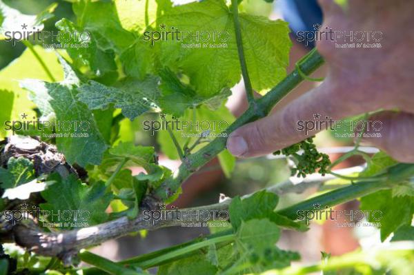  (JBN_6152.jpg)