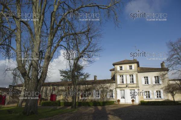 Château Fonroque (JBN_7741.jpg)