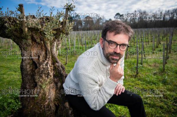 GIRONDE (33), LANDIRAS, VIGNOBLE LIBER PATER, LOIC PASQUET, VIGNOBLE BORDELAIS, LE VIN LE PLUS CHER AU MONDE CREE A PARTIR DE VIGNES PREPHYLLOXERIQUES, AOC GRAVES., ASSEMBLAGE 100% FRANC-DE-PIED (JBN_9936.jpg)