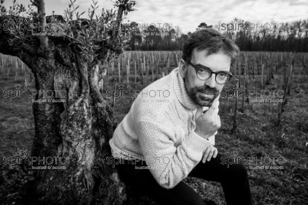 GIRONDE (33), LANDIRAS, VIGNOBLE LIBER PATER, LOIC PASQUET, VIGNOBLE BORDELAIS, LE VIN LE PLUS CHER AU MONDE CREE A PARTIR DE VIGNES PREPHYLLOXERIQUES, AOC GRAVES., ASSEMBLAGE 100% FRANC-DE-PIED (JBN_9942.jpg)