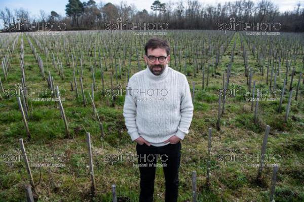 GIRONDE (33), LANDIRAS, VIGNOBLE LIBER PATER, LOIC PASQUET, VIGNOBLE BORDELAIS, LE VIN LE PLUS CHER AU MONDE CREE A PARTIR DE VIGNES PREPHYLLOXERIQUES, AOC GRAVES., ASSEMBLAGE 100% FRANC-DE-PIED (JBN_9954.jpg)