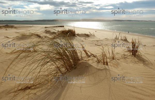 Bassin d'Arcachon - Dune du Pyla (LW_00007.jpg)