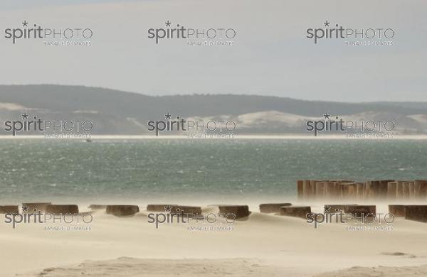 Bassin d'Arcachon - Dune du Pyla (LW_00008.jpg)