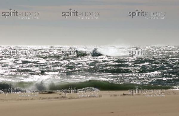 Bassin d'Arcachon - Dune du Pyla (LW_00015.jpg)