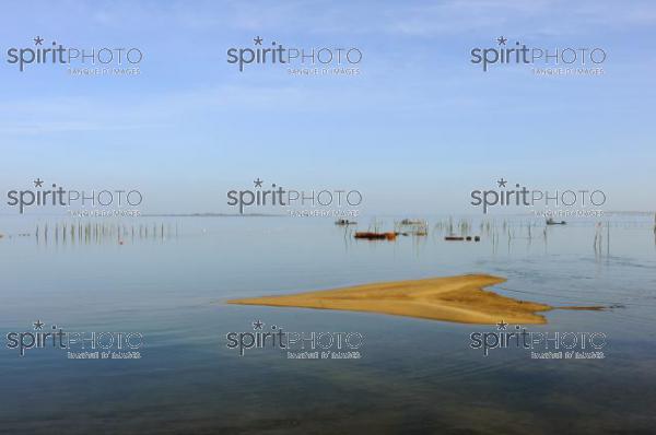 Bassin d'Arcachon - Dune du Pyla (LW_00047.jpg)