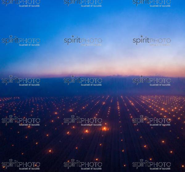 Aerial view, Candles burning in vineyard during sub-zero temperatures of 7 April 2021. Pomerol. Gironde, France. [Pomerol / Bordeaux] (PANO0001-Panorama-3.jpg)