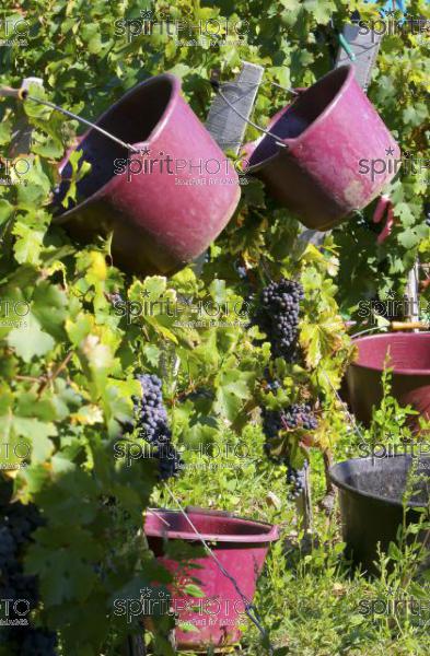 Vins et Vignobles (PHL_00007.jpg)