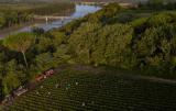 DJI_0010.jpg