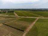 DJI_0259-HDR.jpg