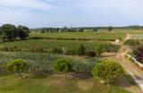DJI_0287-HDR.jpg