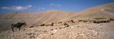JBNADEAU_00595.jpg