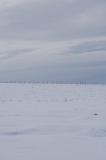 JBNADEAU_01215.jpg