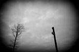 JBN_02694.jpg