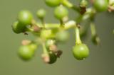 JBN_02990.jpg